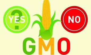 GMO_labeling-thumb