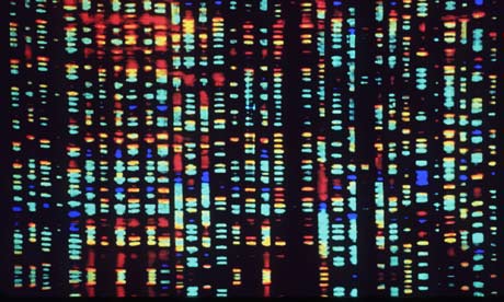 Human-genome-001