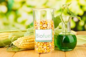 biofuel-carbon