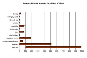 bird_mortality_chart