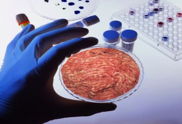 In Praise of Lab-Grown Meat - NeuroLogica Blog