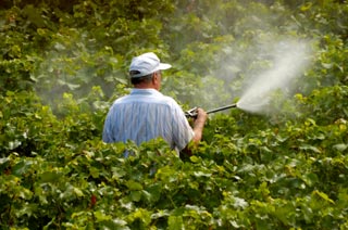 Organic pesticides deals