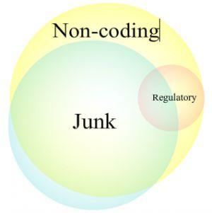 More on Junk DNA - NeuroLogica Blog