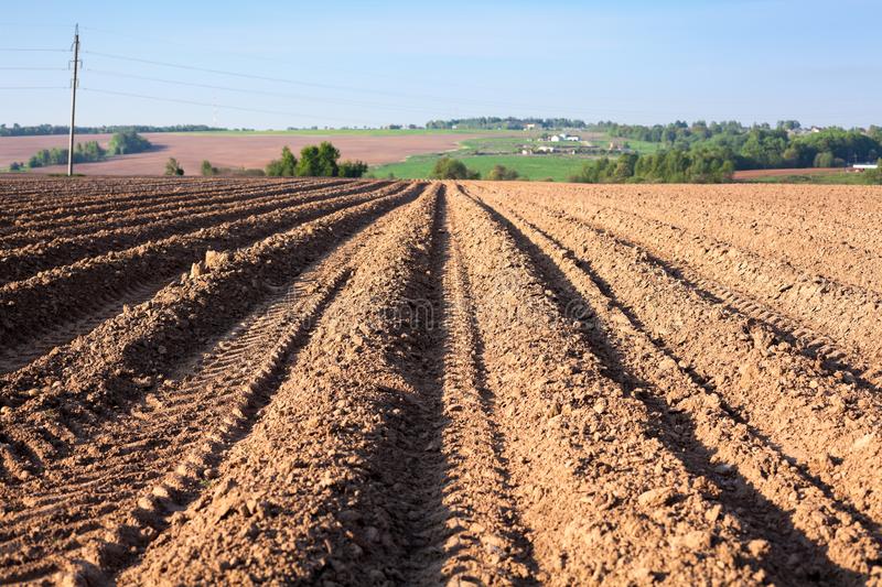 How Much Arable Land Is There? | NeuroLogica Blog