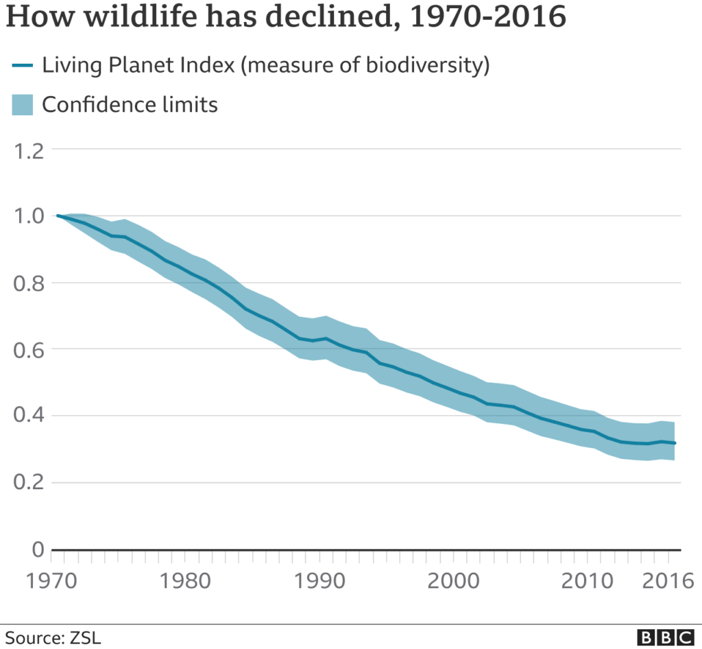 Biodiversity Matters NeuroLogica Blog   Biodiversity Decline 1024x946 