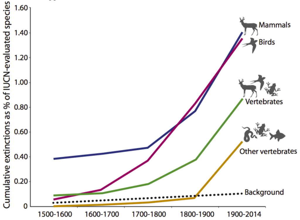 Humans And Megafauna Extinction NeuroLogica Blog