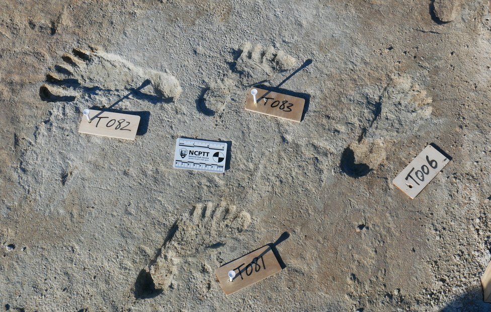 footprints-are-oldest-evidence-of-humans-in-north-america-laptrinhx