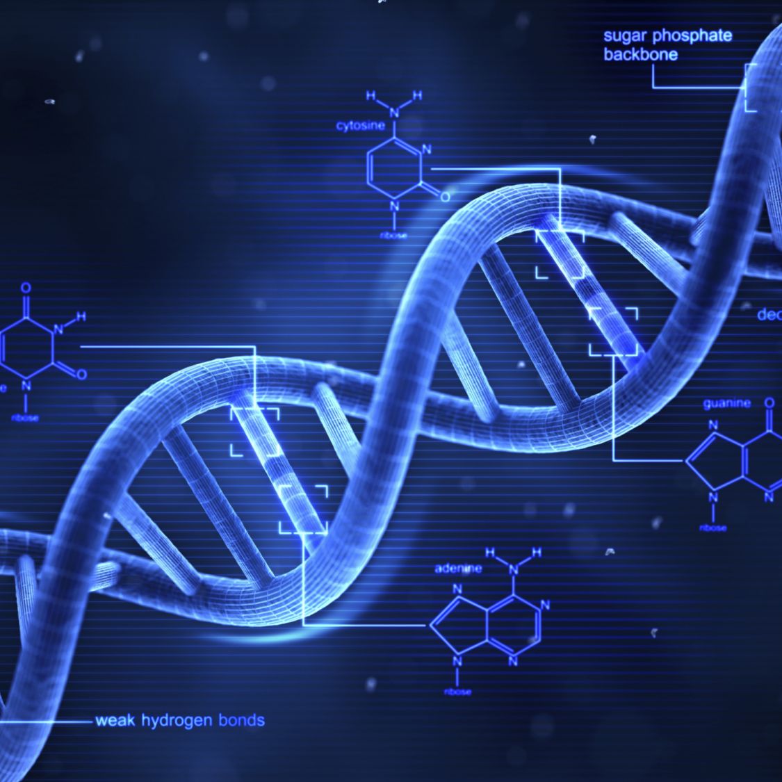 improving-co2-conversion-neurologica-blog